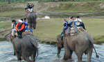 Elephant riding in Sauraha, Chitwan